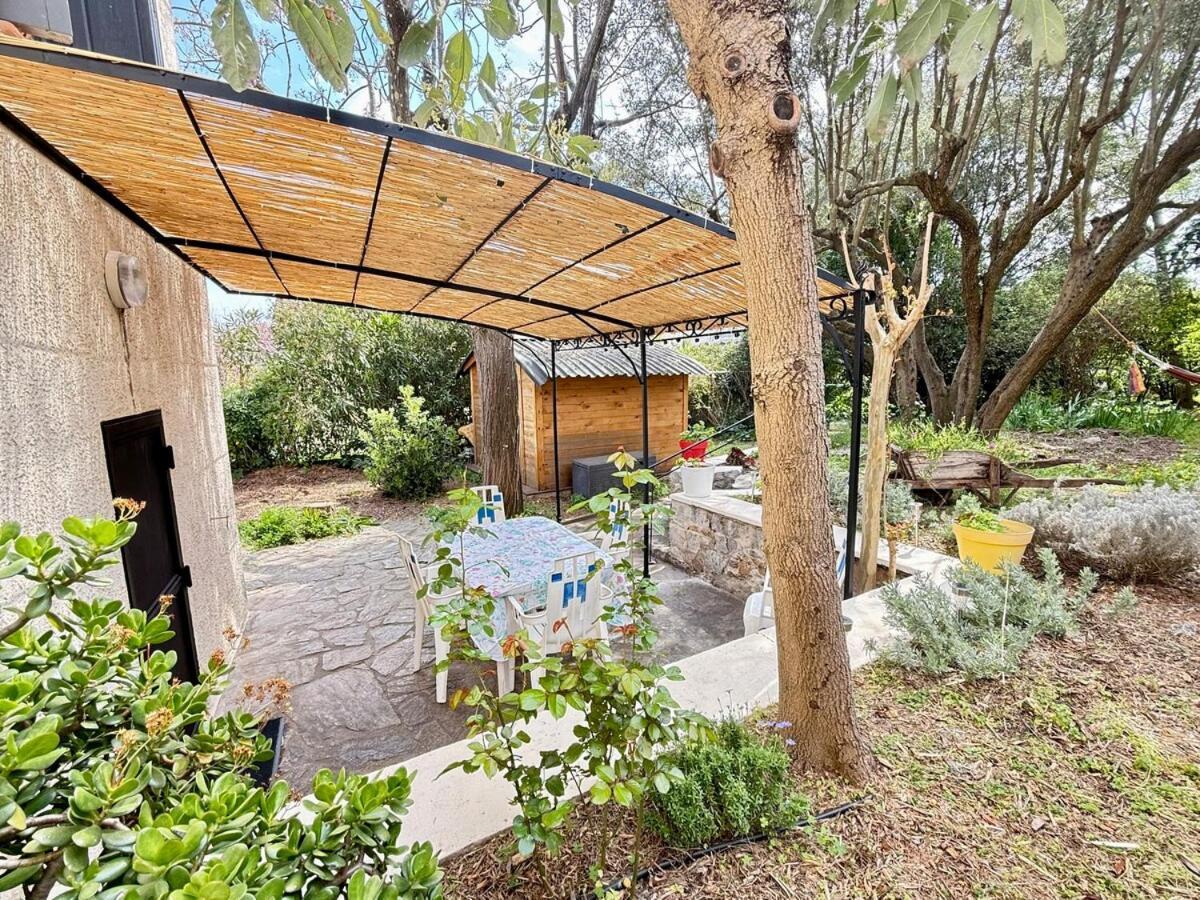 Appartement Jardin & Terrasse Ombragee - T2 Cozy Et Paisible à La Garde  Extérieur photo